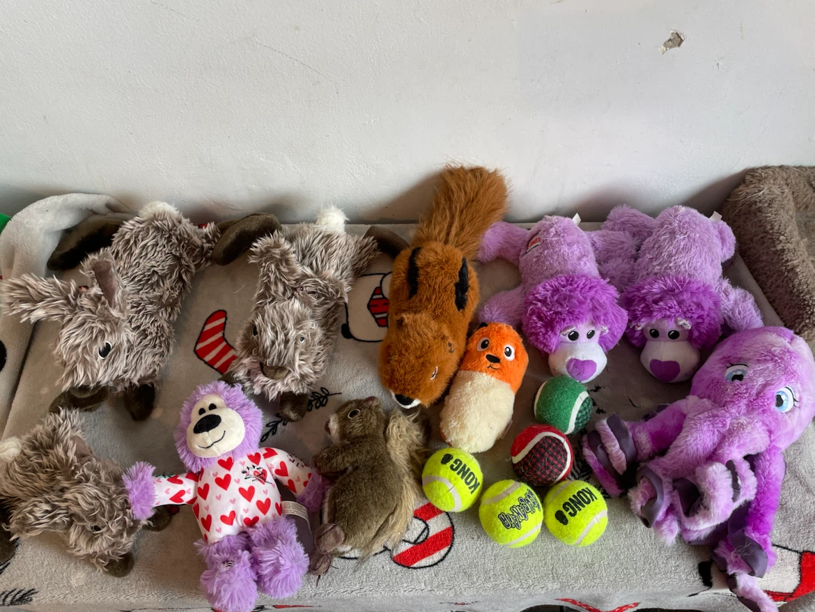 15pc Medium Dog Toys Lot