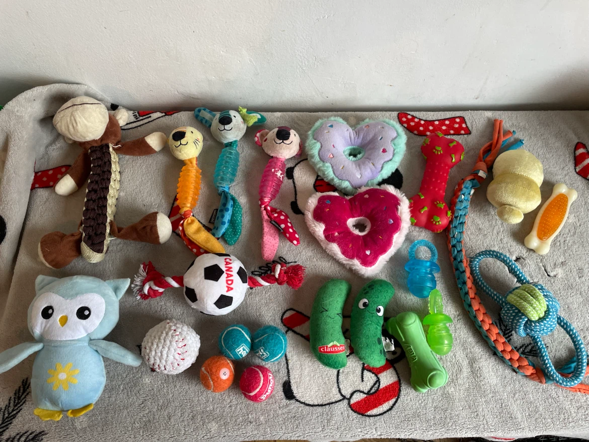23pc Small Dog Toys Lot