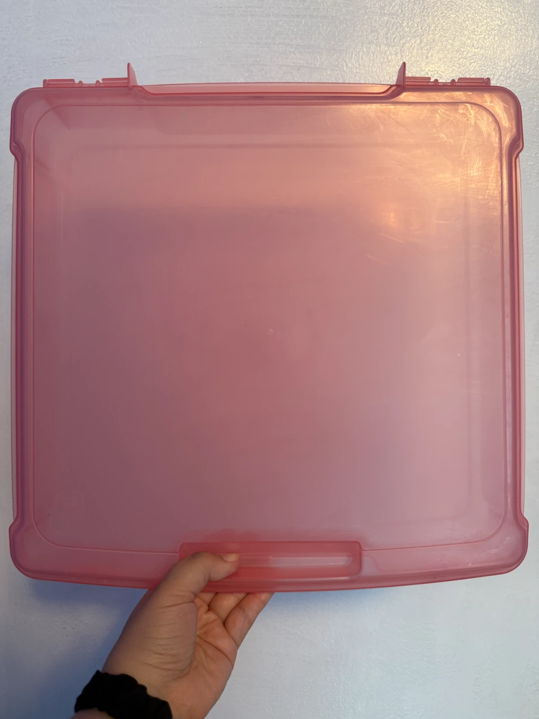 2 Pink Square Scrapbooking Storage Cases