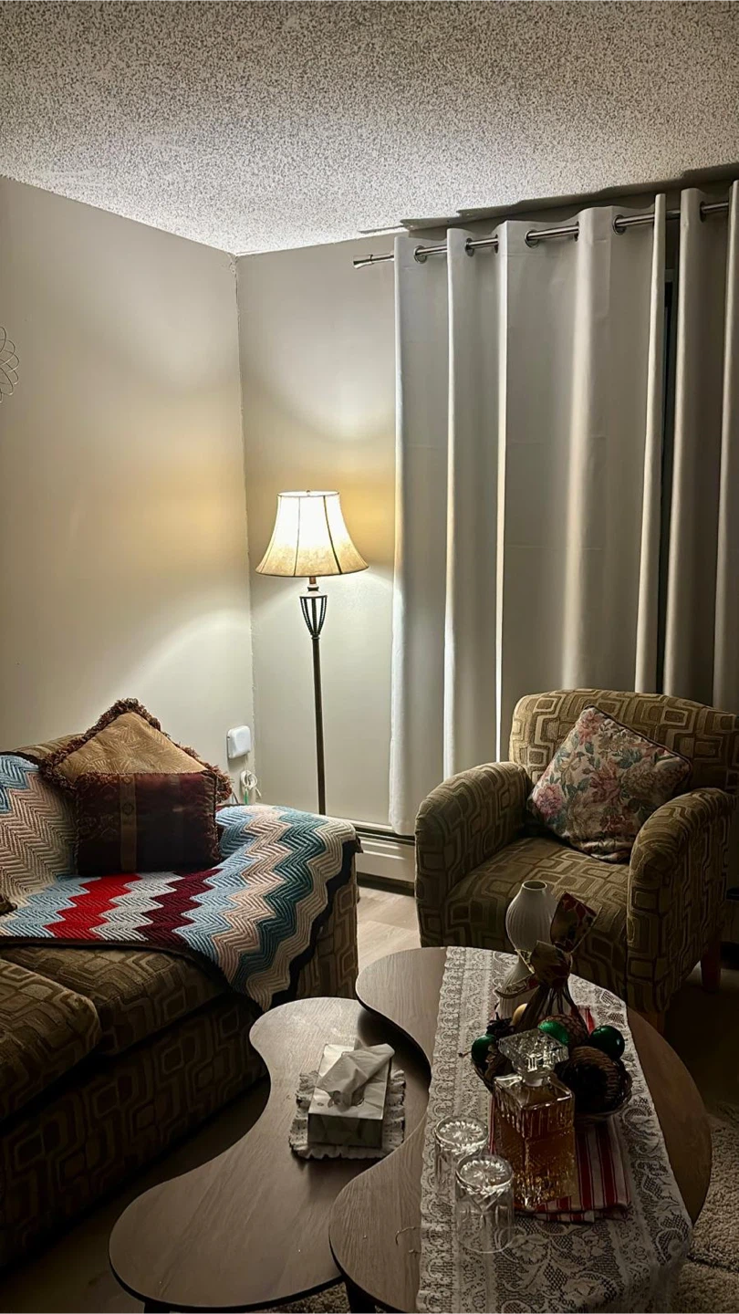 Living Room Furniture - photo 2