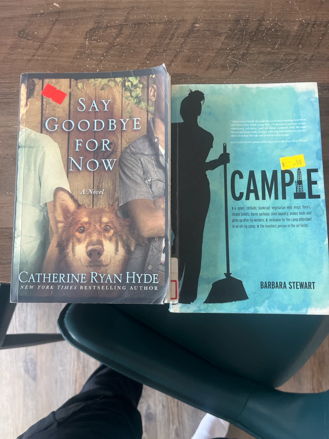 Say Goodbye For Now by Catherine Ryan Hyde Novel & Cample Book