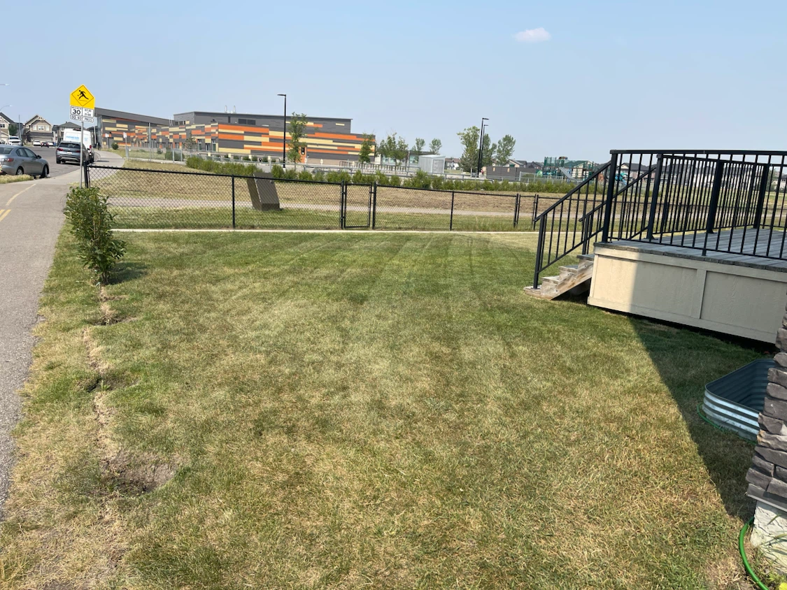 Lawn mowing service - photo 2