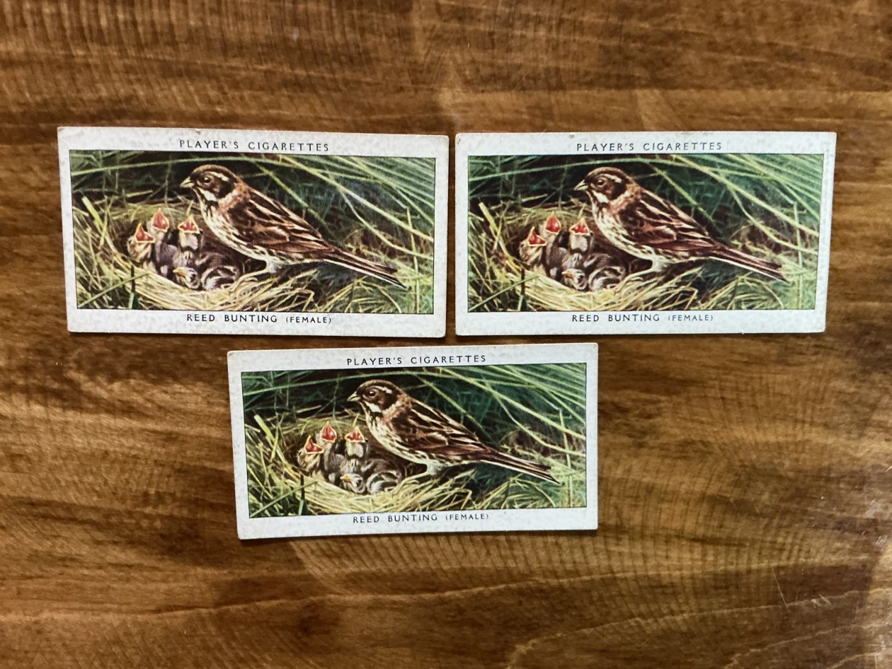 3. 1937 Player's Cigarettes Reed Bunting Cards (Set of 3)