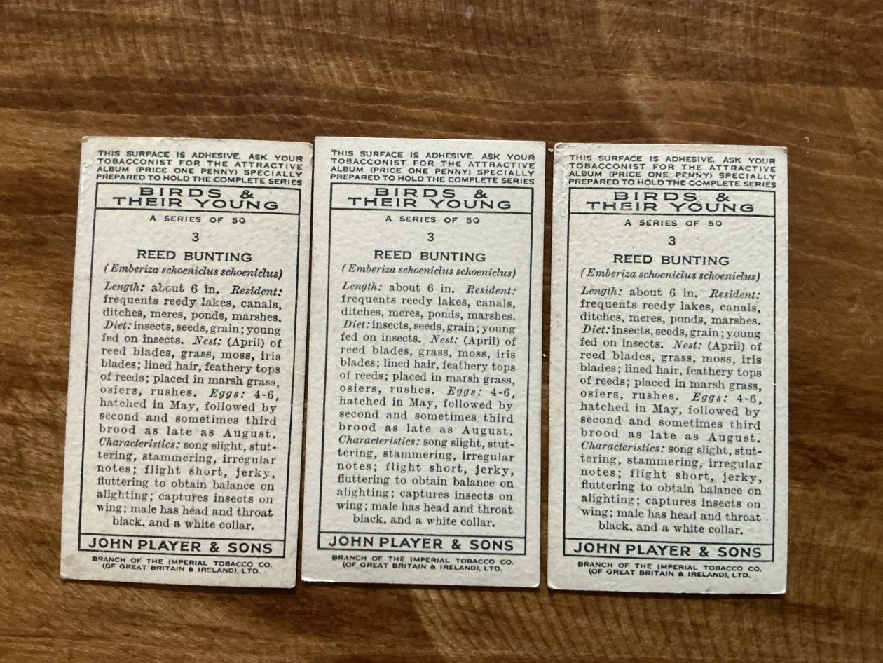 3. 1937 Player's Cigarettes Reed Bunting Cards (Set of 3) - photo 2