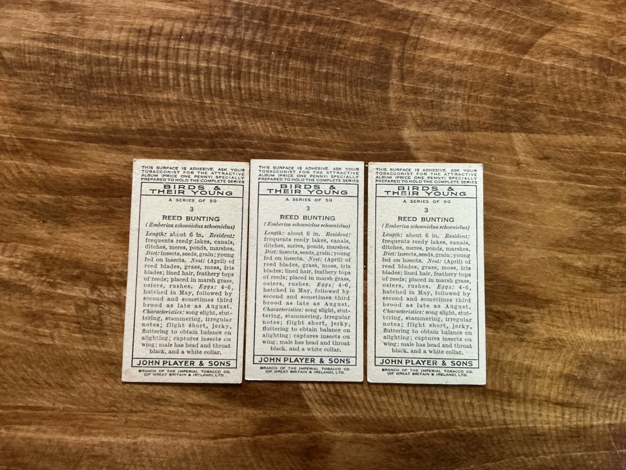 3. 1937 Player's Cigarettes Reed Bunting Cards (Set of 3) - photo 4