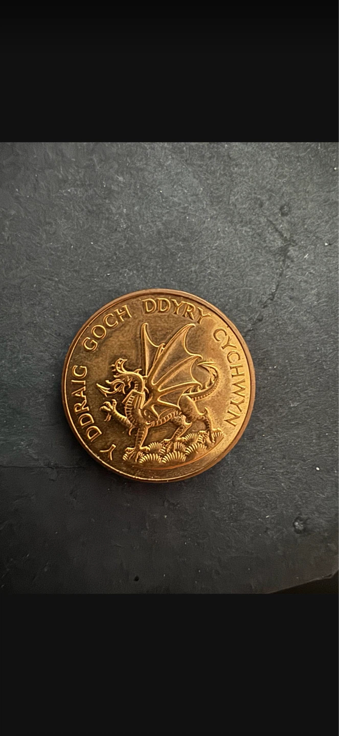 Prince Charles Investiture Coin 1969 - photo 2