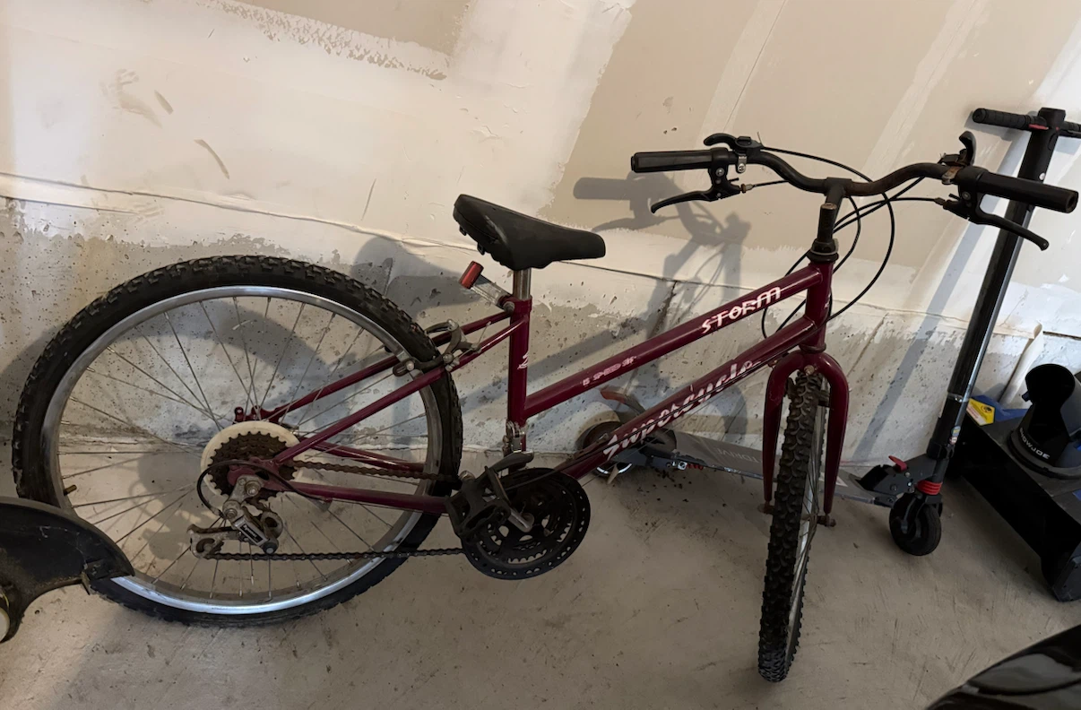 Storm Supercycle Bicycle