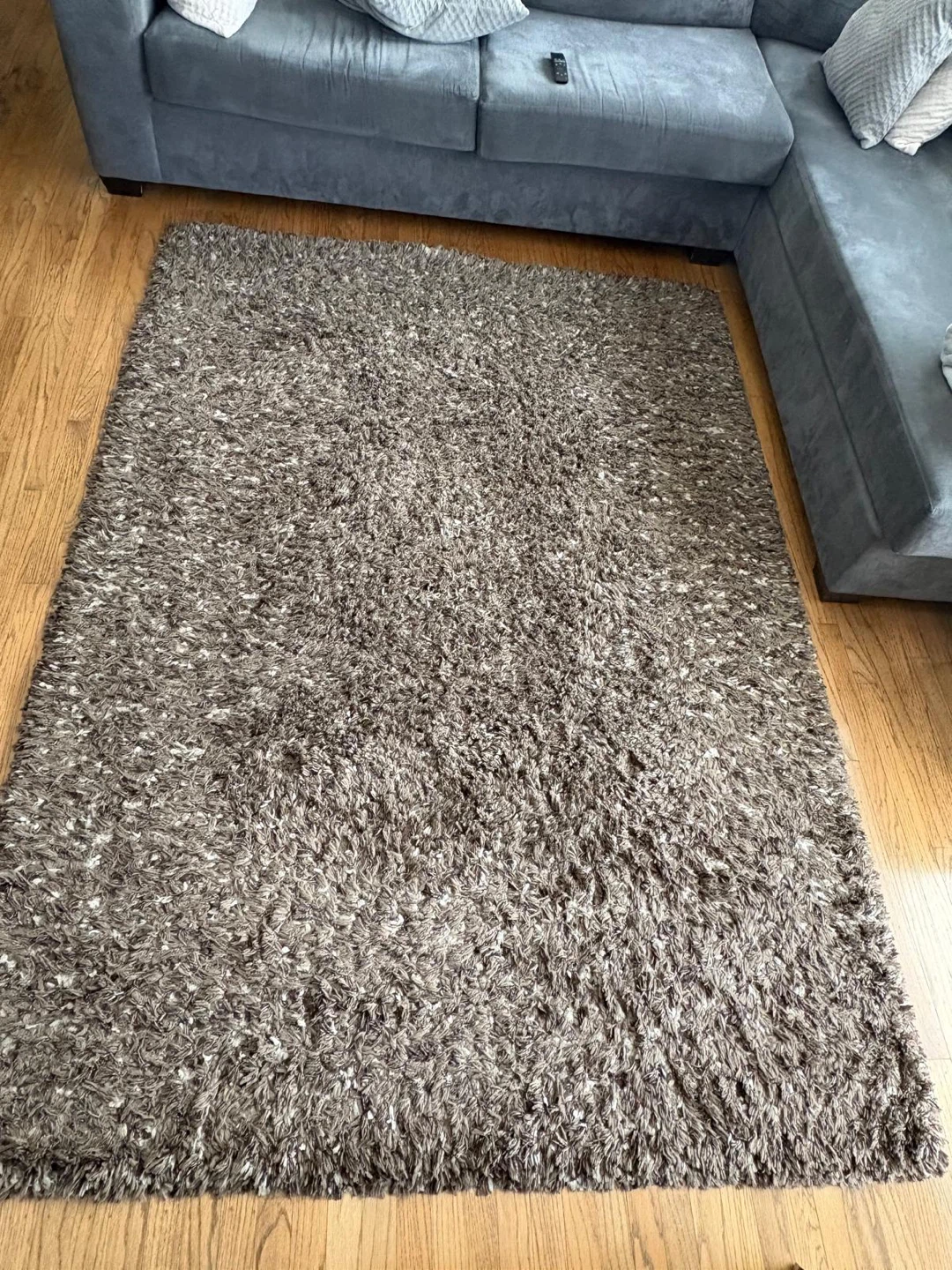 Shag Area Rug