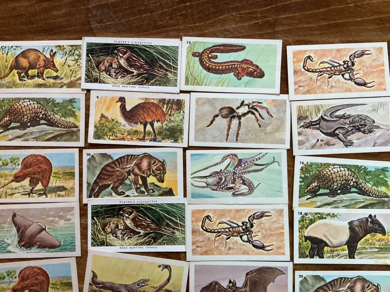 31. 1962 NABISCO Nature Untamed & Exotic Animals Cards - photo 2