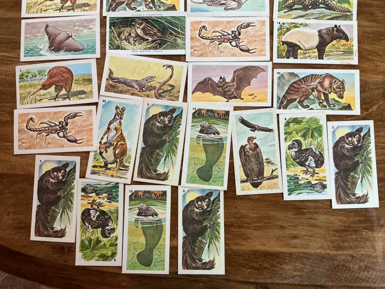 31. 1962 NABISCO Nature Untamed & Exotic Animals Cards - photo 3