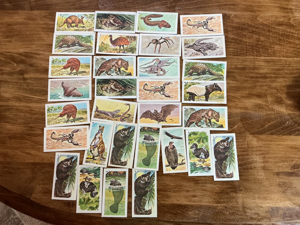 31. 1962 NABISCO Nature Untamed & Exotic Animals Cards - photo 4
