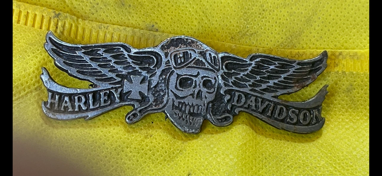 Harley Davidson Skull Wings Pin
