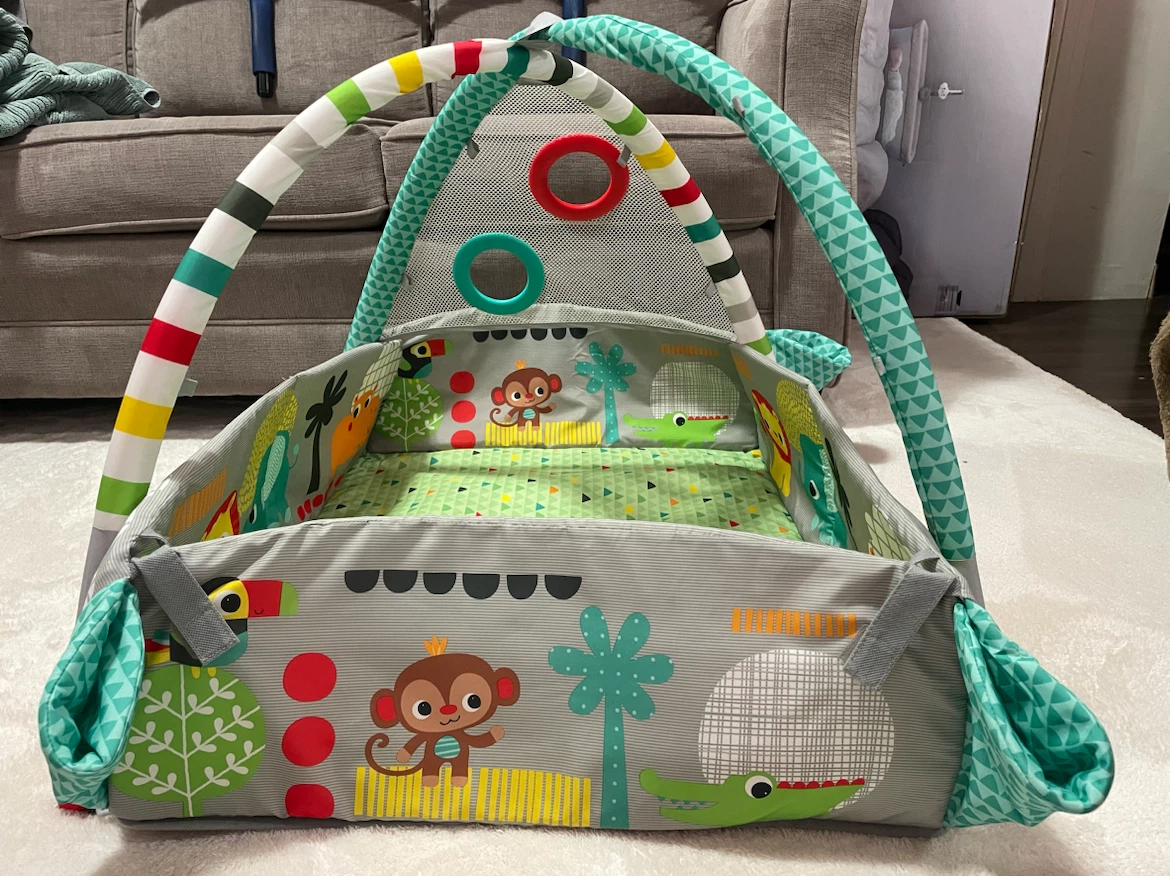 Baby Play Gym