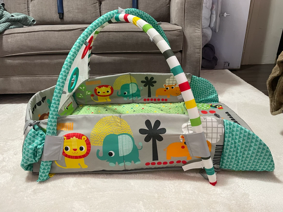 Baby Play Gym - photo 2