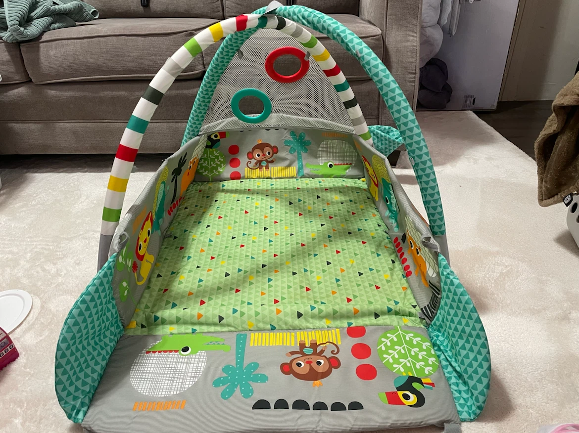 Baby Play Gym - photo 3