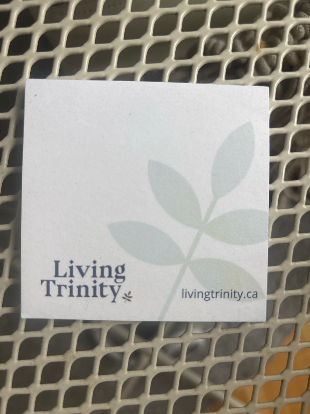Living Trinity Post It Notes