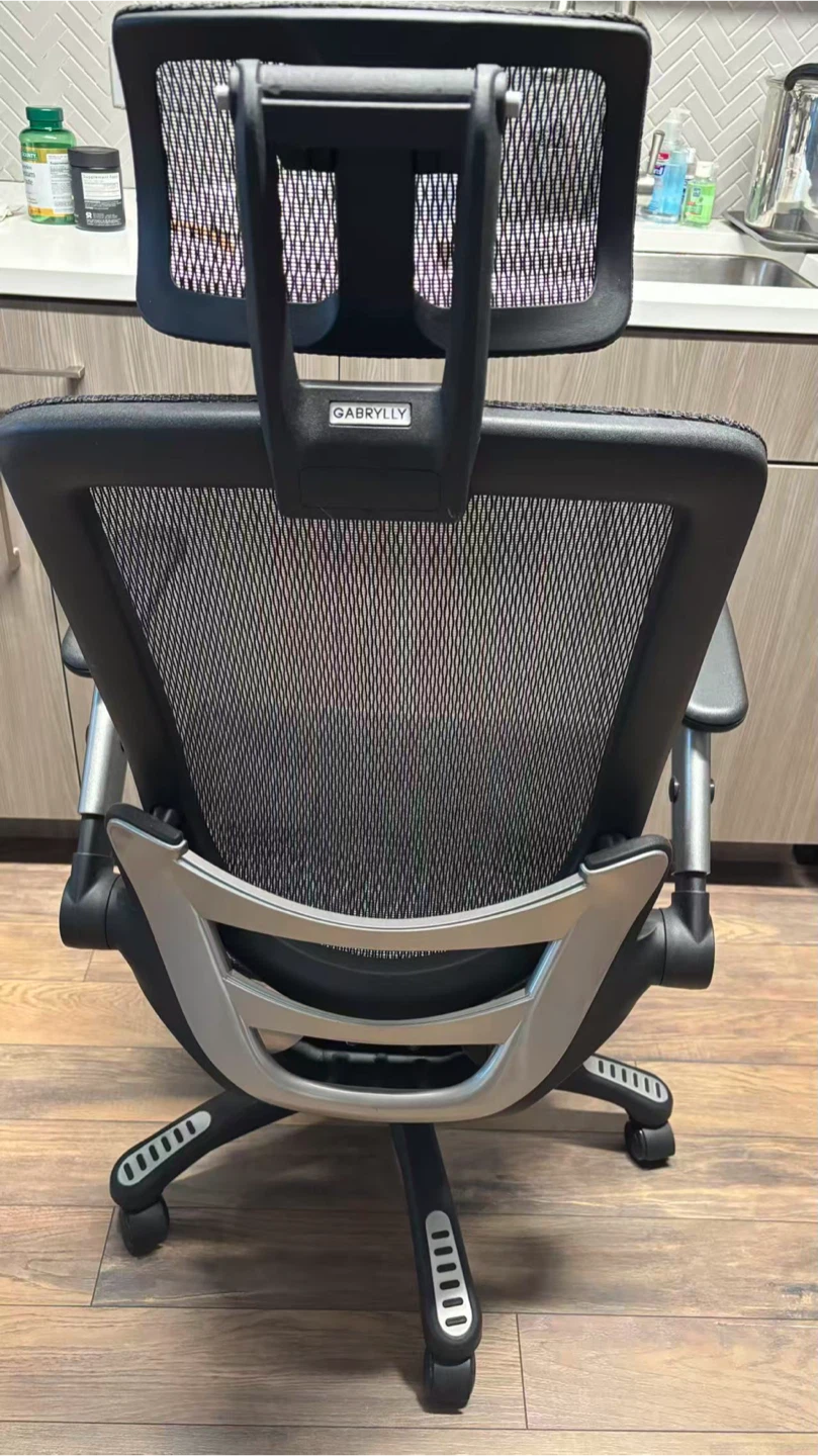 GABRYLLY Ergonomic Office Chair - photo 2