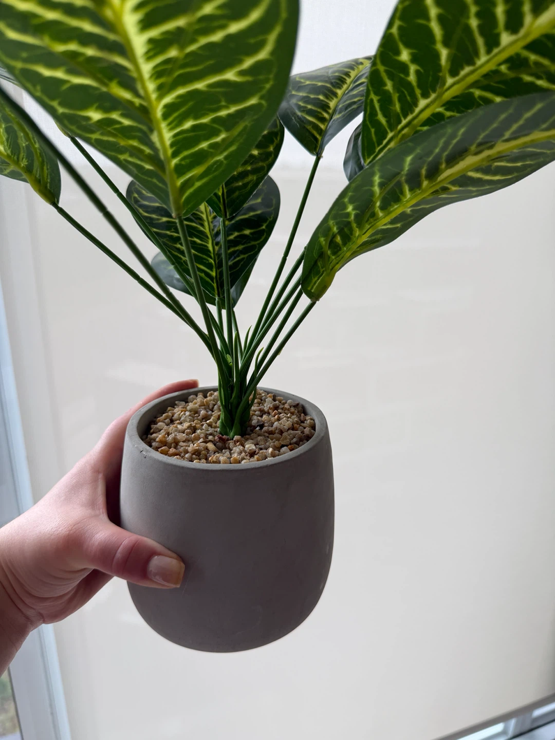 Artificial Zebra Plant in Concrete Pot - photo 2