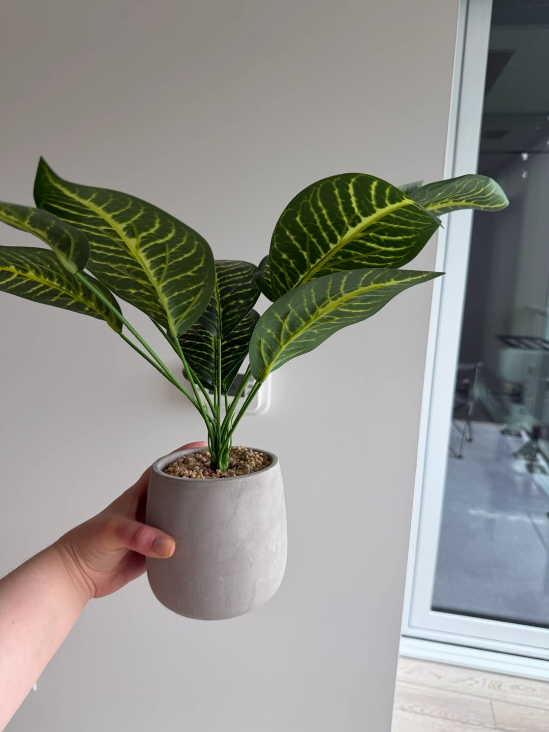 Artificial Zebra Plant in Concrete Pot - photo 3