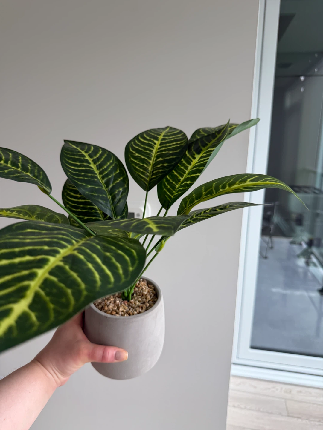 Artificial Zebra Plant in Concrete Pot - photo 5