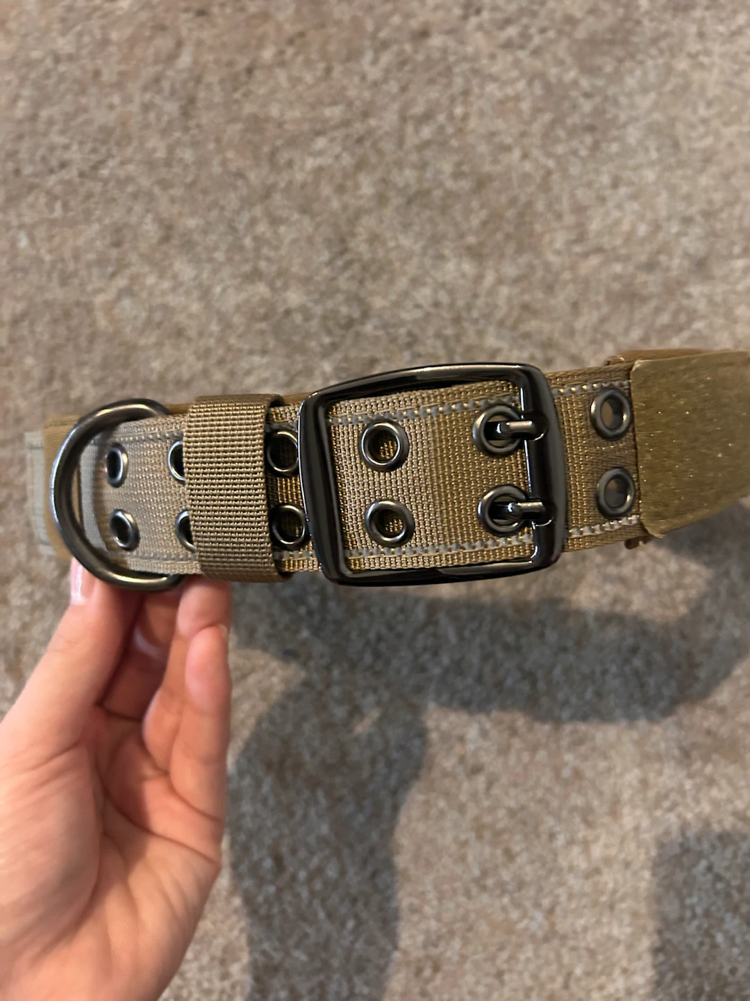 Tan Nylon Dog Collar
