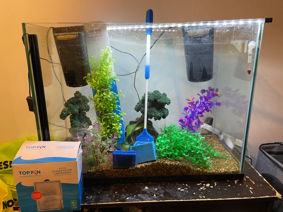 37 Gallon Fish Tank Setup (FIRM PRICE)