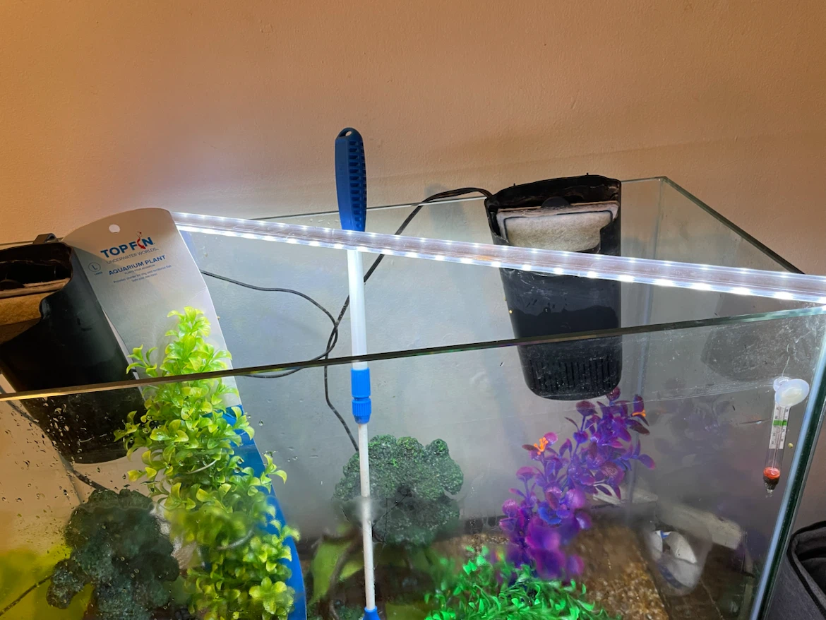 37 Gallon Fish Tank Setup (FIRM PRICE) - photo 2