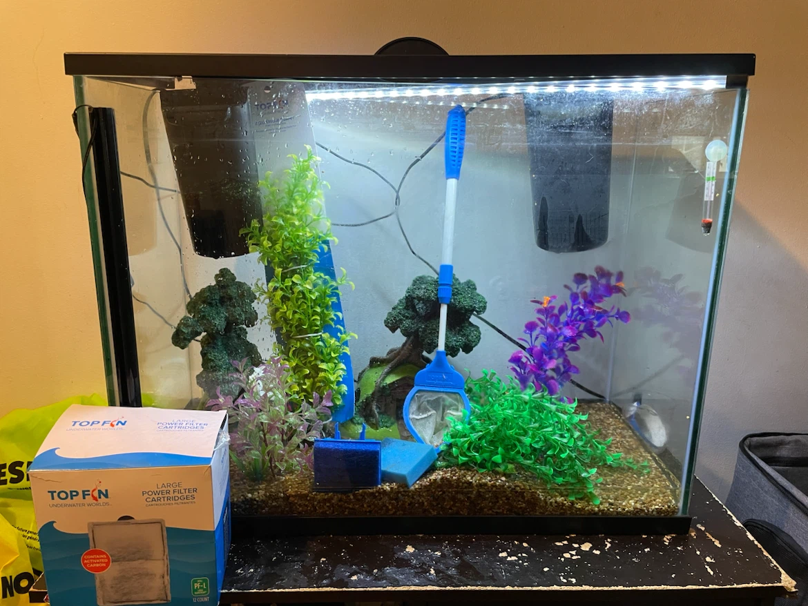 37 Gallon Fish Tank Setup (FIRM PRICE) - photo 3