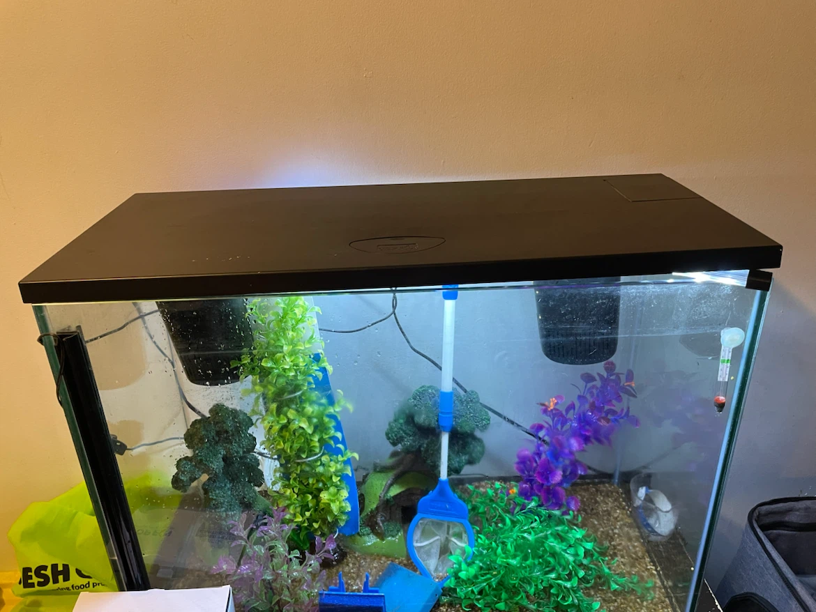 37 Gallon Fish Tank Setup (FIRM PRICE) - photo 4
