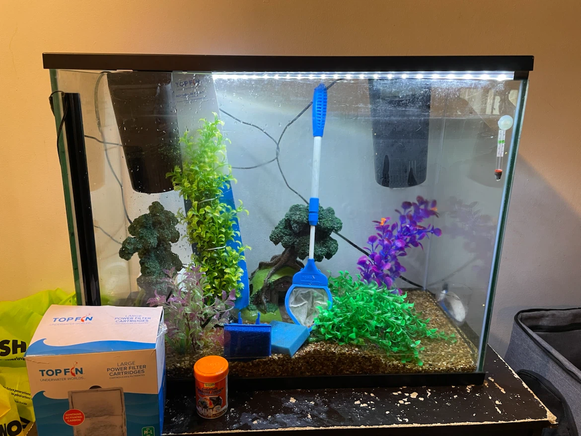 37 Gallon Fish Tank Setup (FIRM PRICE) - photo 5