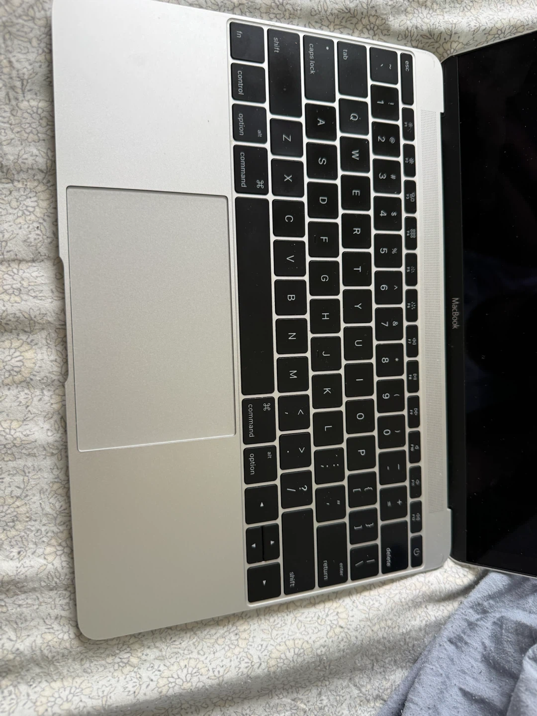 Apple MacBook Laptop - photo 4