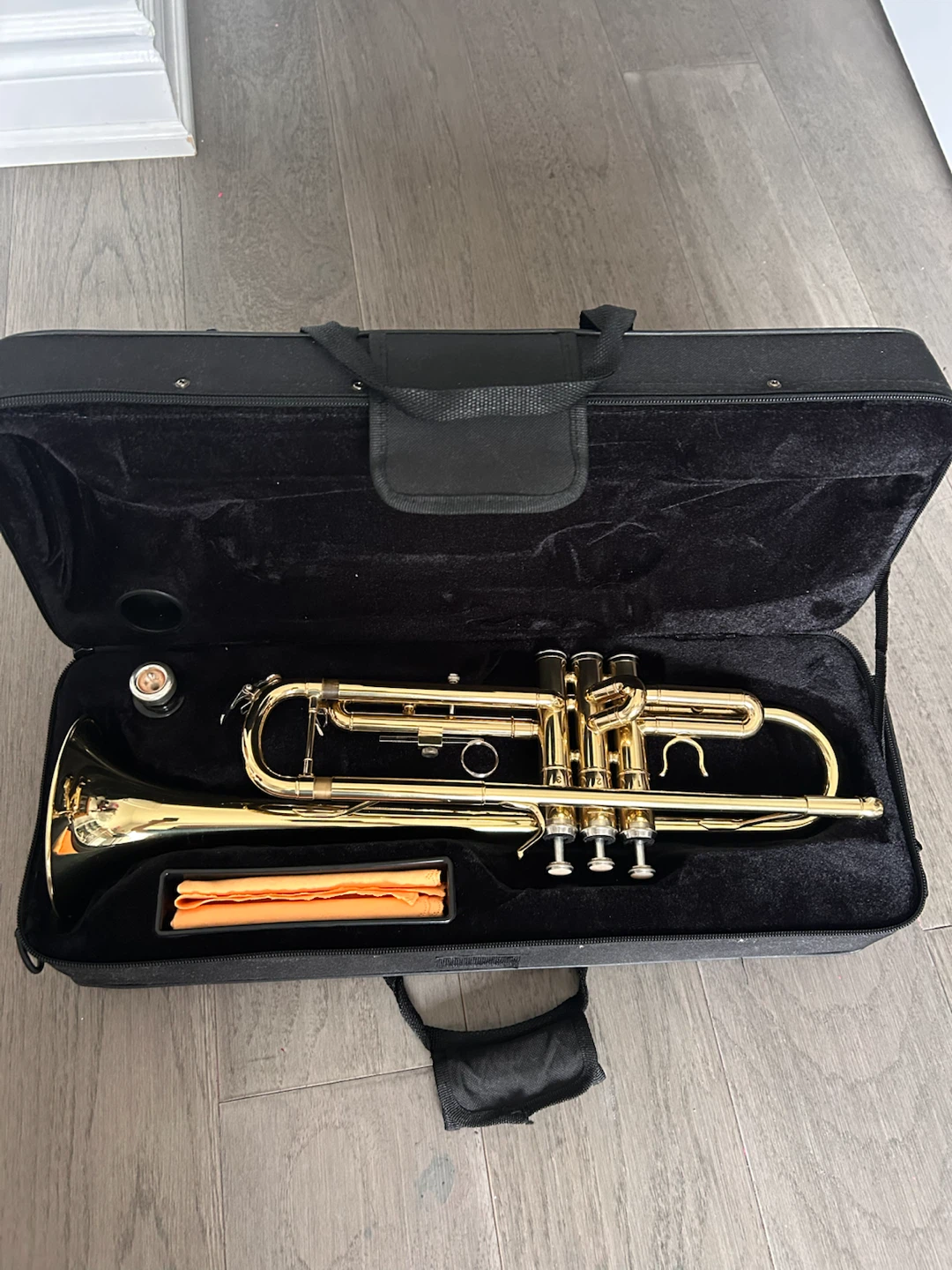 Gold Trumpet in Black Case