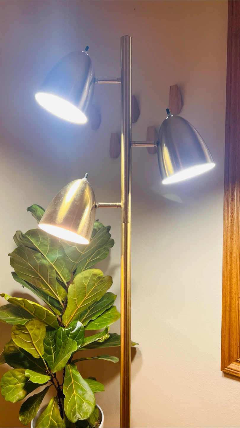 Adjustable Floor Lamp with 3 Heads