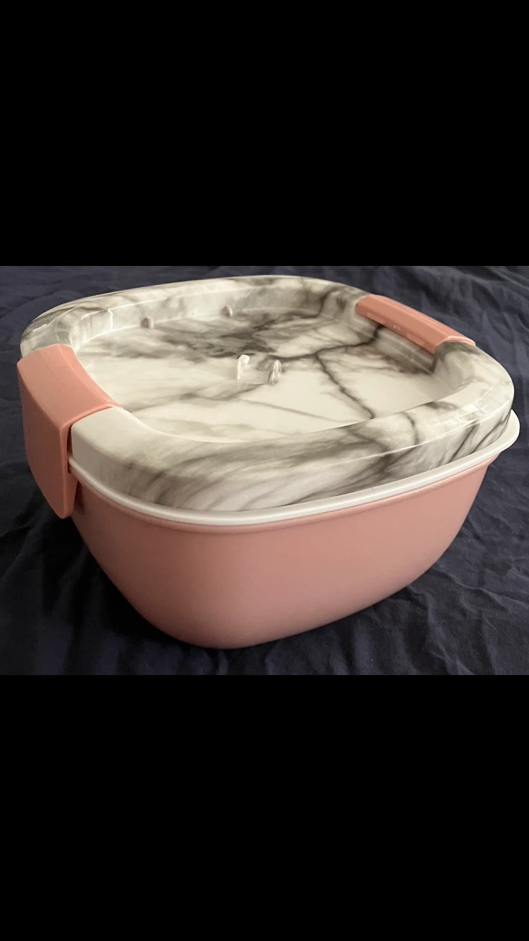TRADE: Bentgo Salad Container 🩷🩶🤍 🥗 🍱