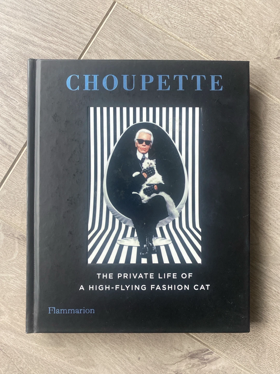 “Choupette: The Private Life of a High-Flying Cat”