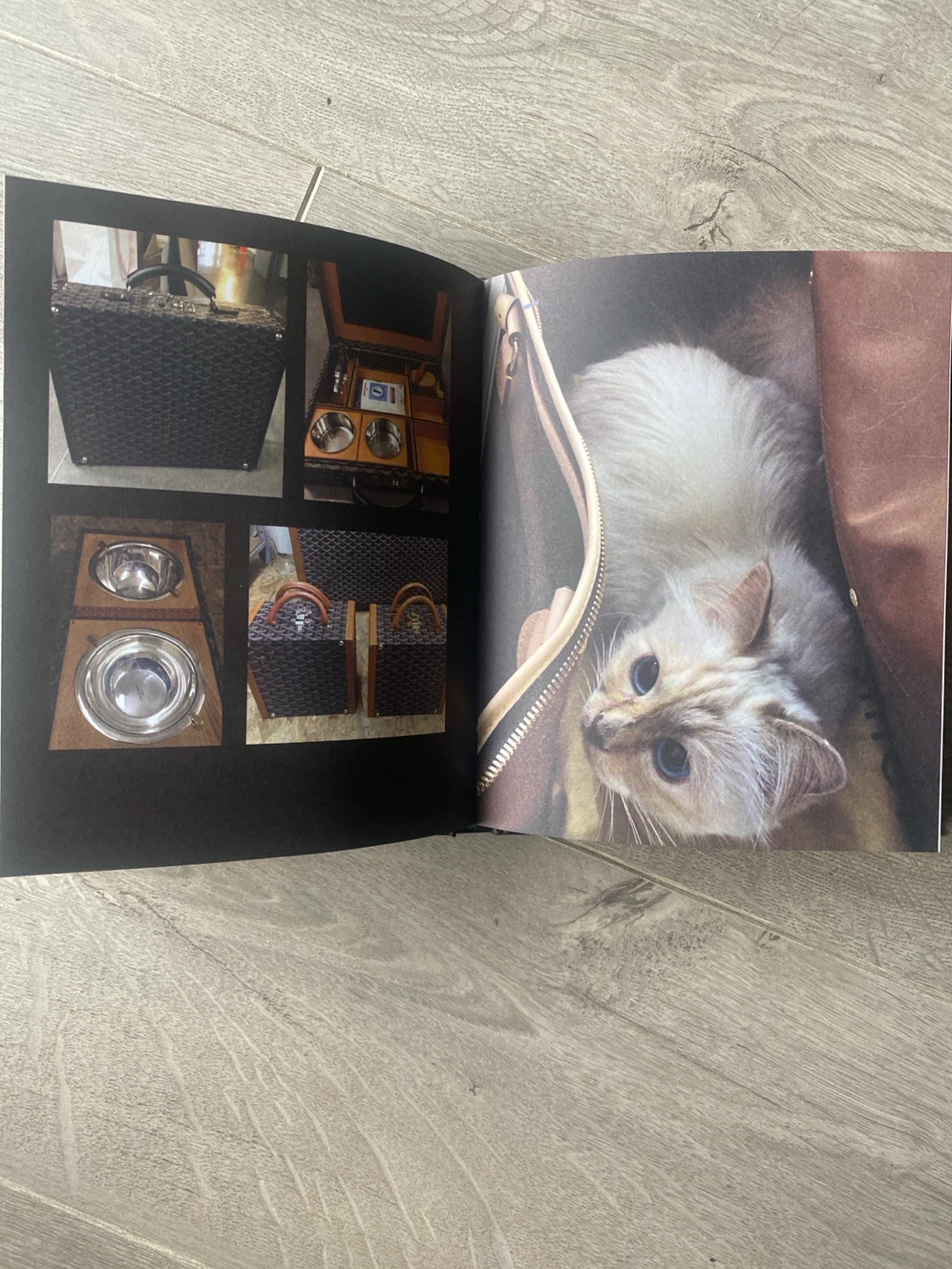 “Choupette: The Private Life of a High-Flying Cat” - photo 3