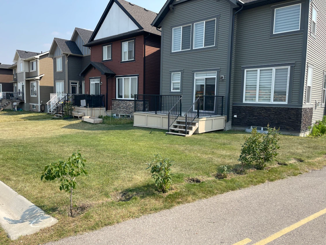 Lawnmow and trimming
