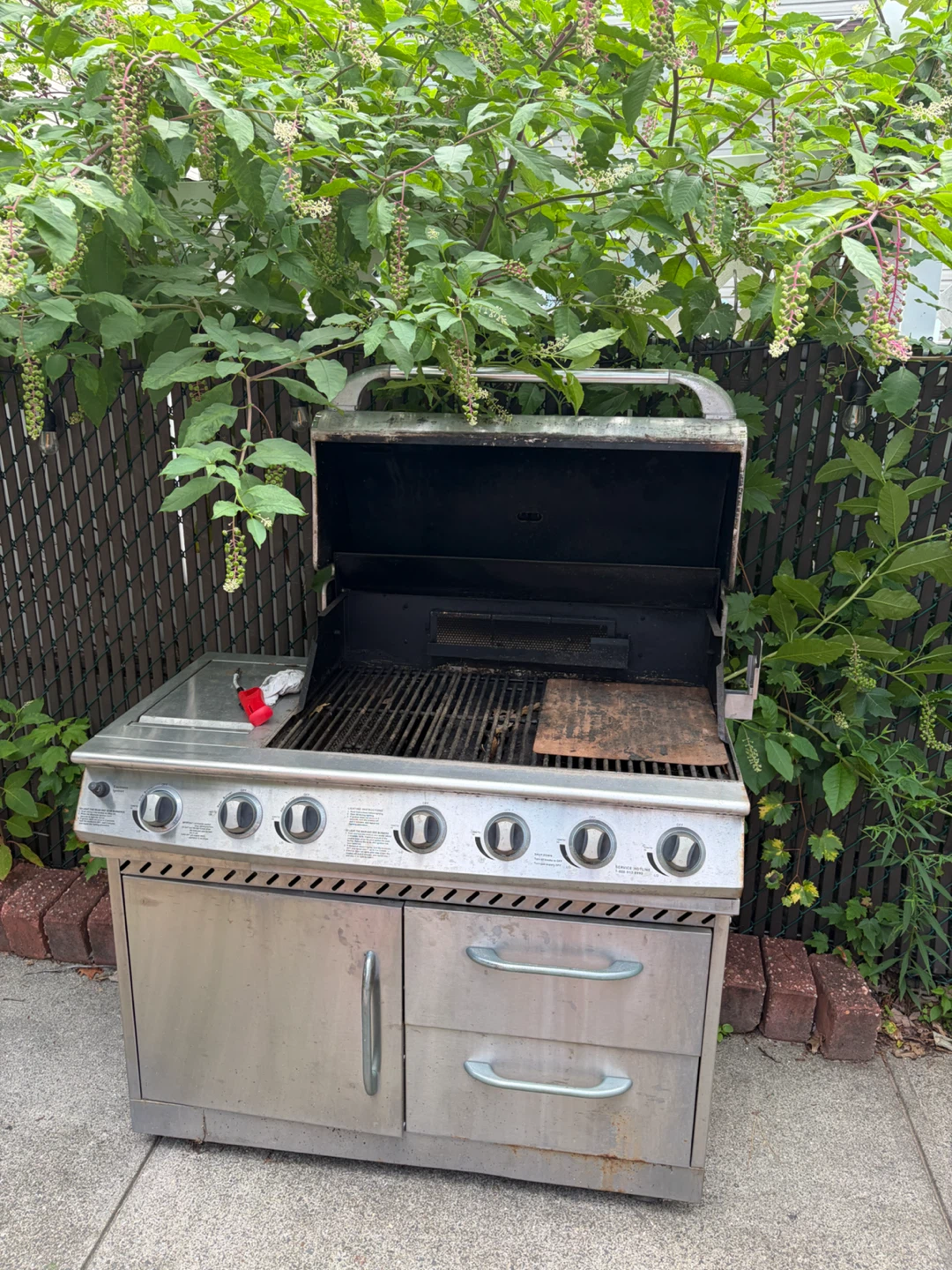 Stainless Steel Gas Grill - photo 5
