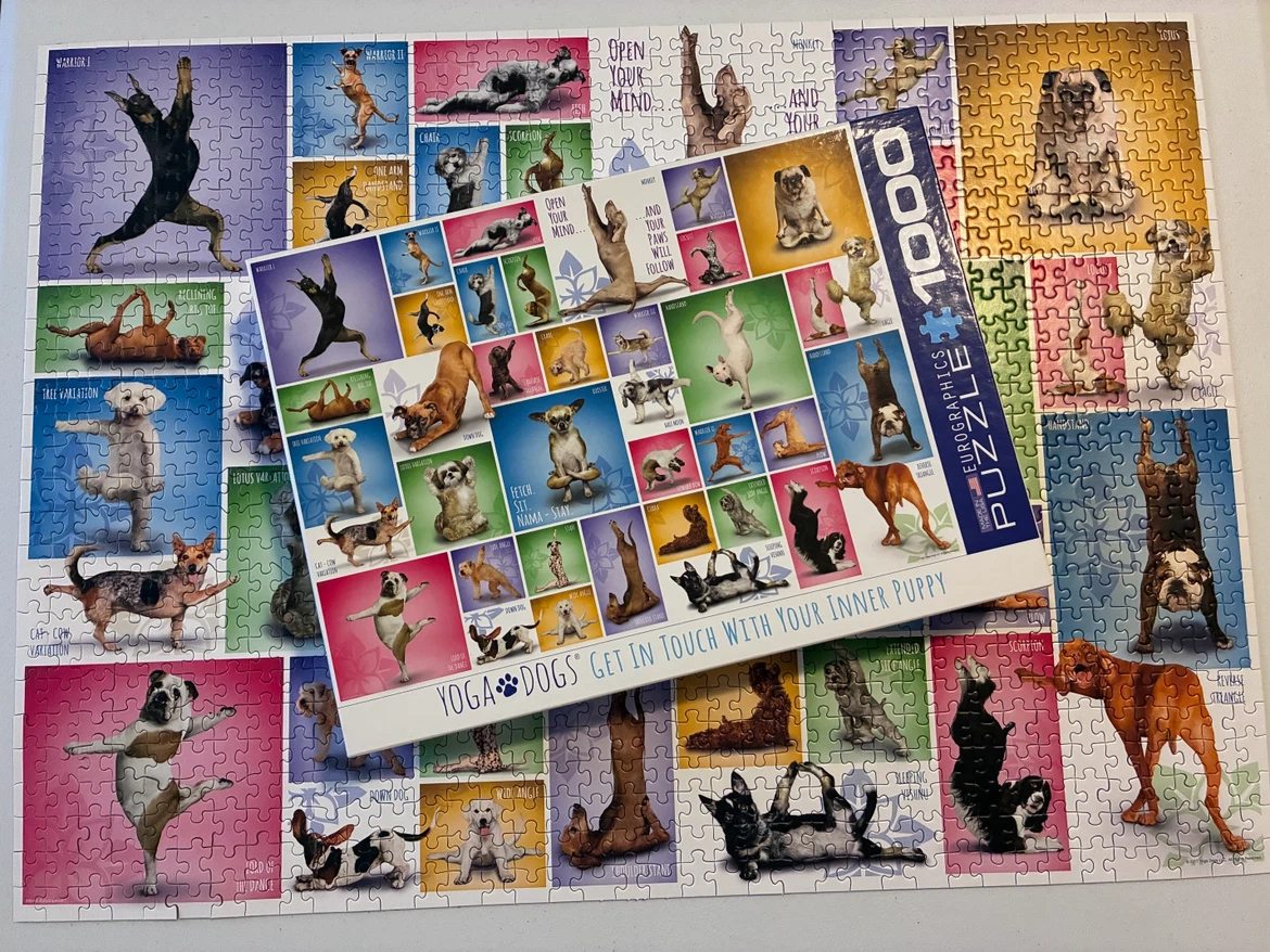 FUN 1000 PIECE PUZZLE (SEE LISTING)