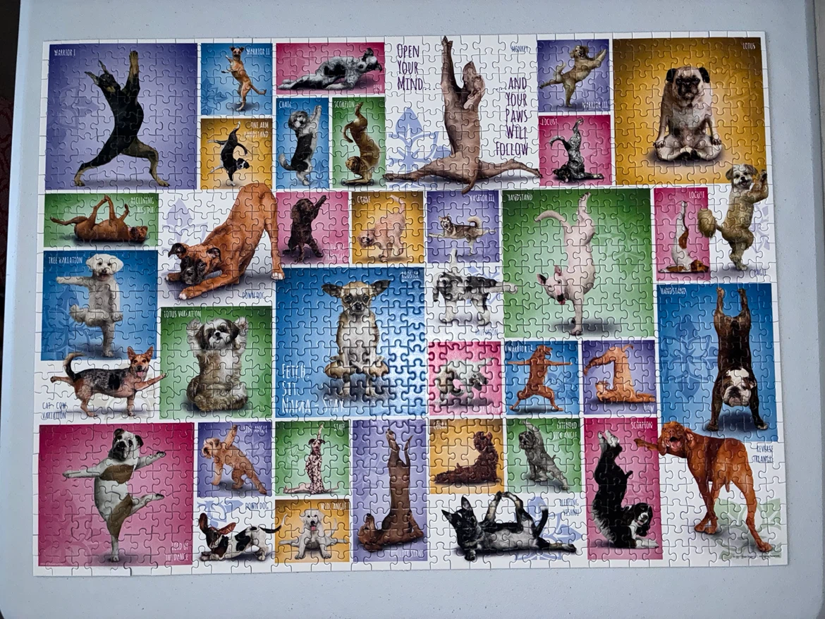 FUN 1000 PIECE PUZZLE (SEE LISTING) - photo 2