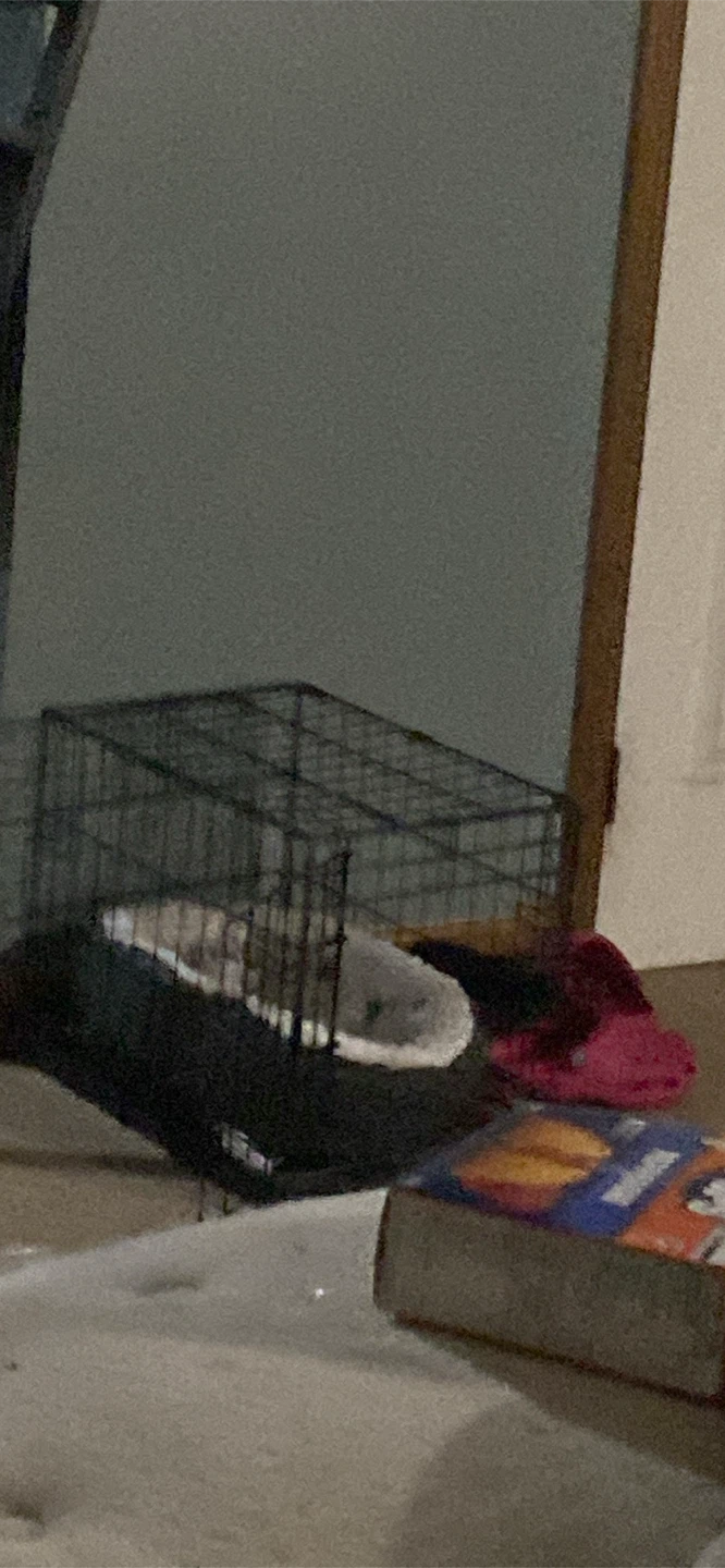 Small Dog Cage