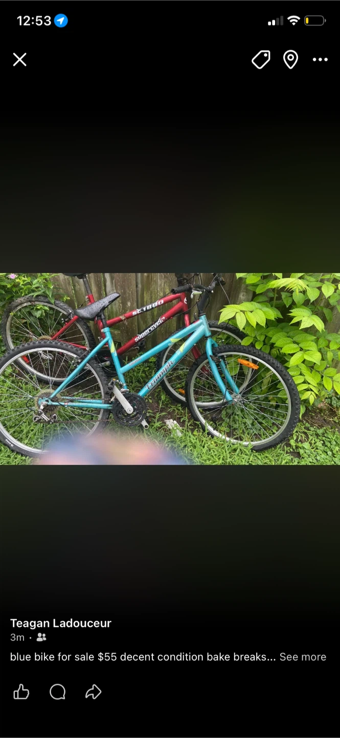 Triumph Blue Bicycle