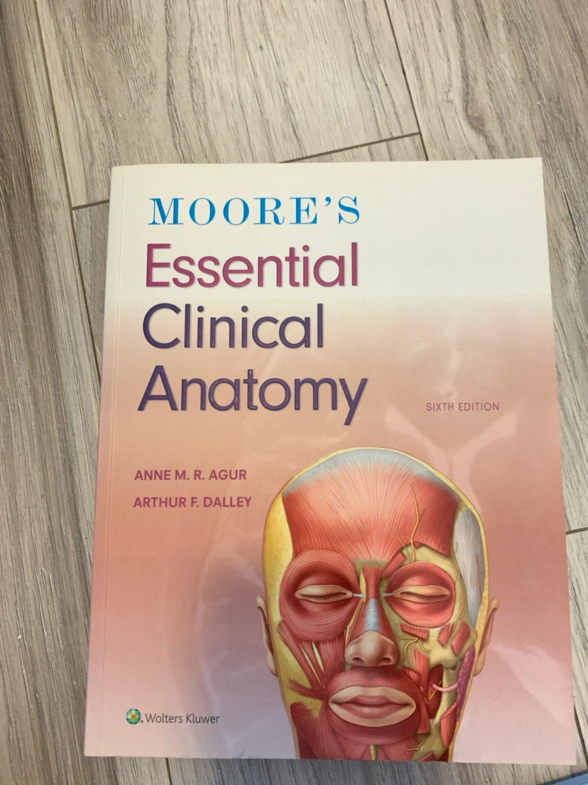 Moore's Essential Clinical Anatomy 6th Edition Textbook