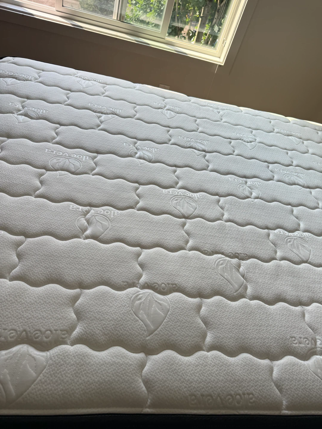 Aloe Vera Mattress - photo 2