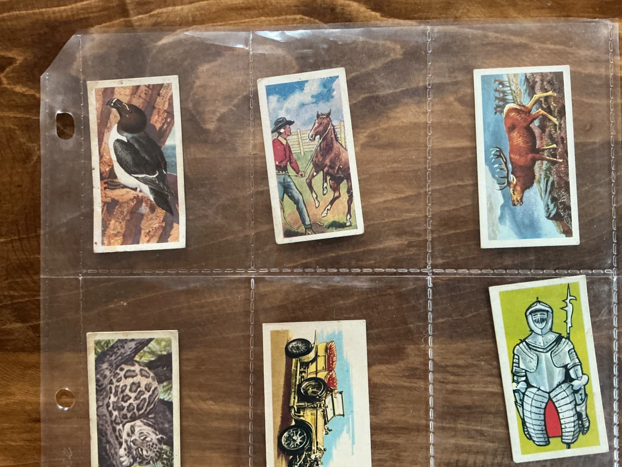 11. 1950’s-60’s Trading Card Collection ! - photo 2