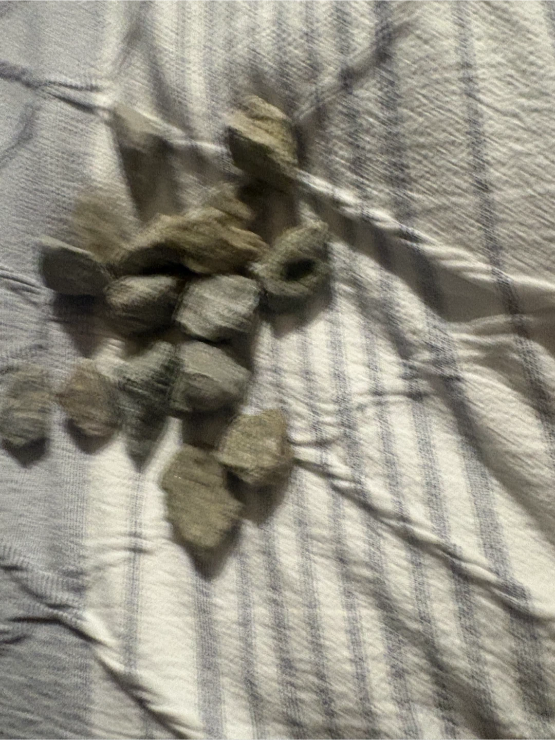 Collection of small rocks - photo 5