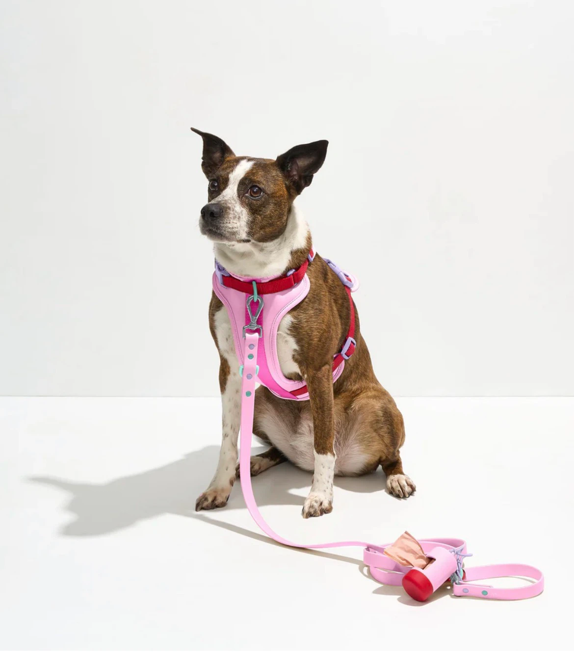 Wild One Pink Dog Harness and Leash Set - Size L - photo 2