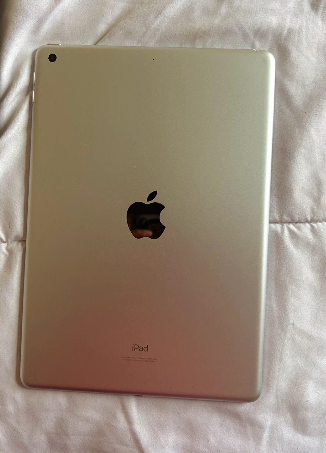 Apple iPad - Silver - photo 3