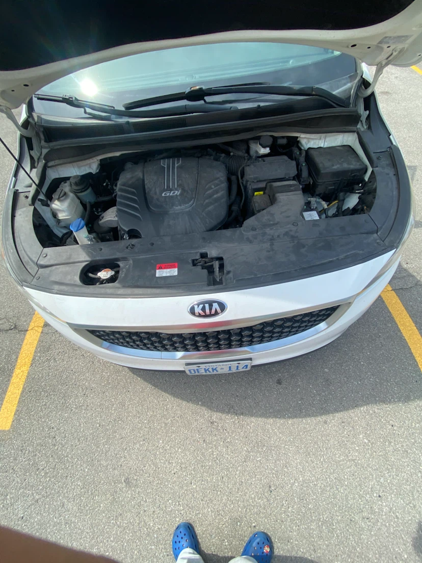 2018 Kia Sedona - photo 2