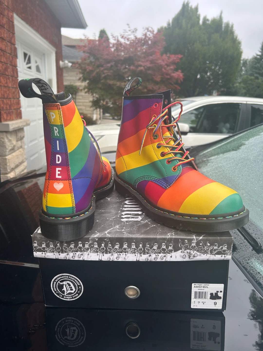 Dr. Martens 1460 Pride Boots